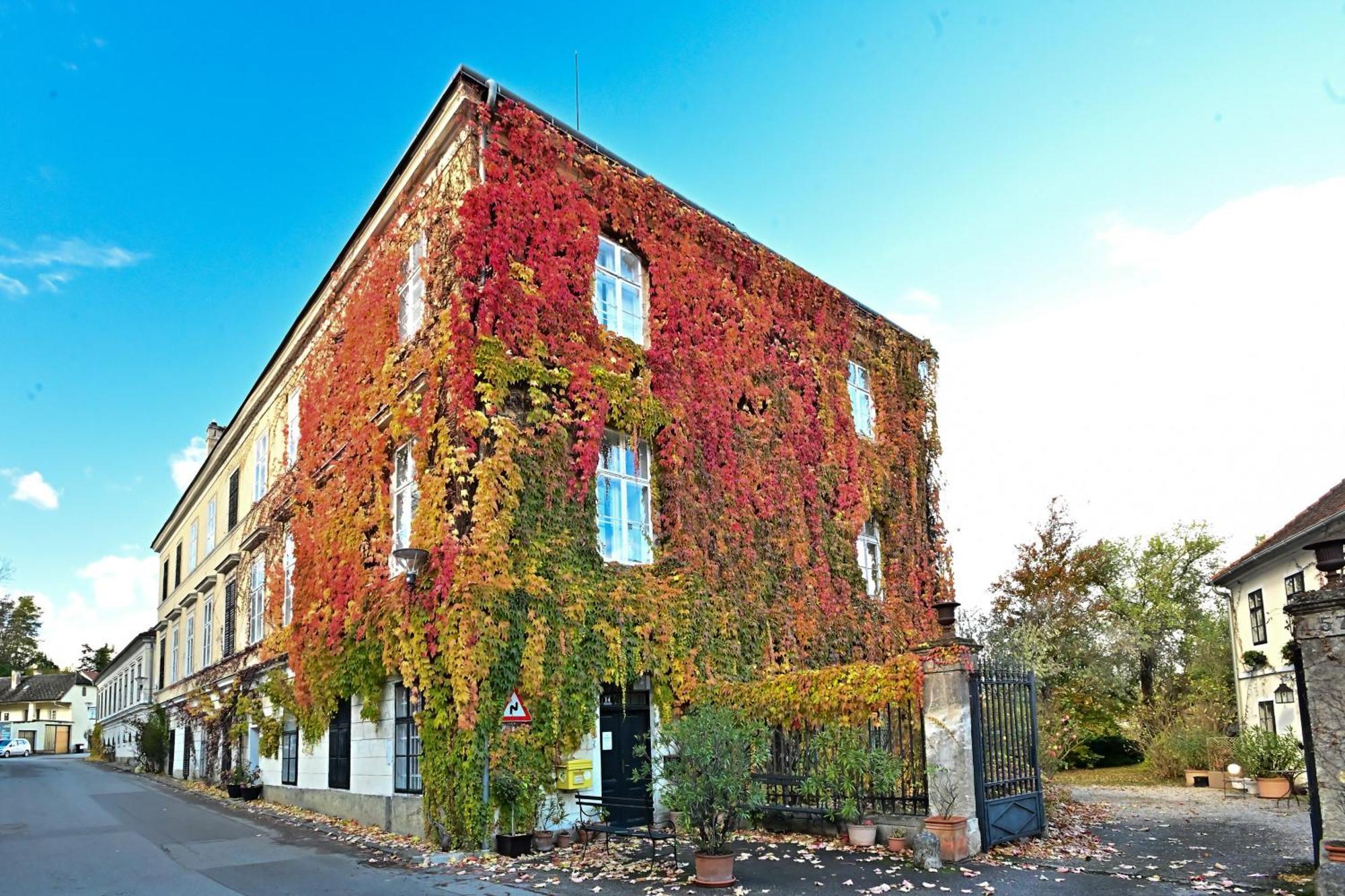 Schloss Hollenburg Aparte Apartments Krems an der Donau Ngoại thất bức ảnh